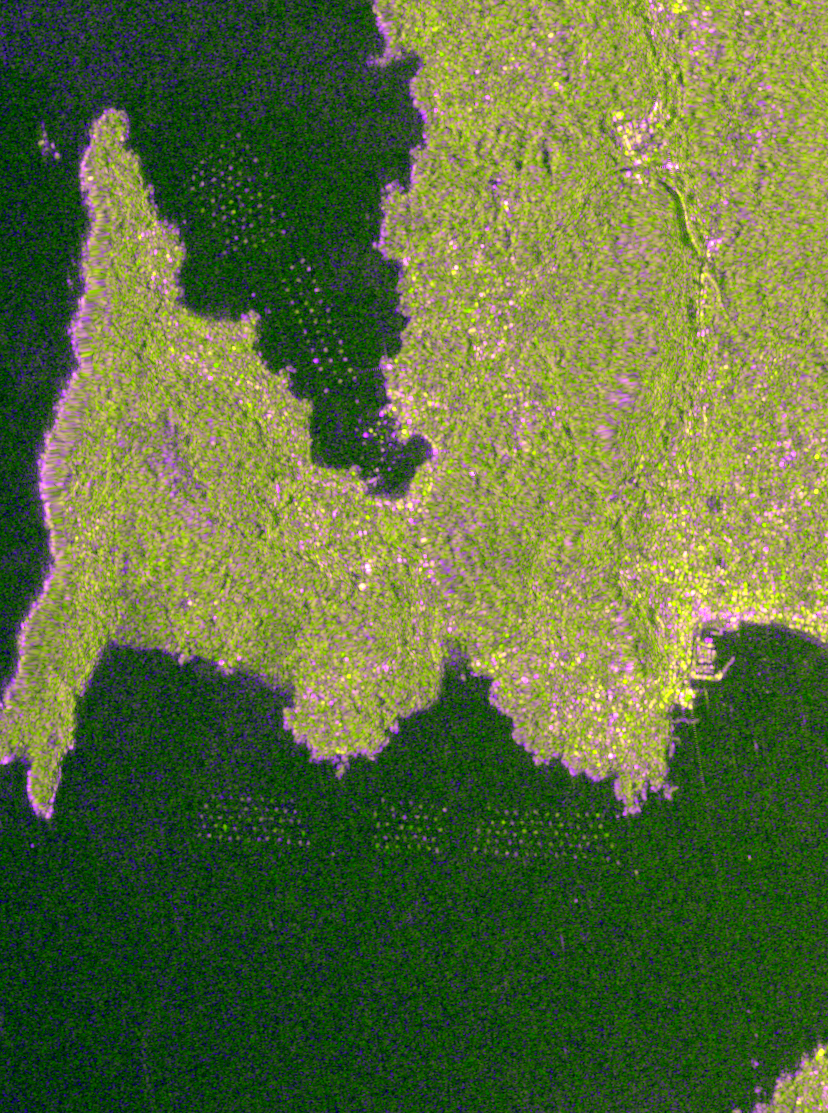 Calm sea fake-color composite RGB